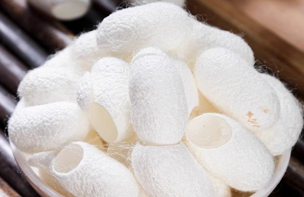 What is Silk Twill: Its Benefits, Applications, and Other Things You ...